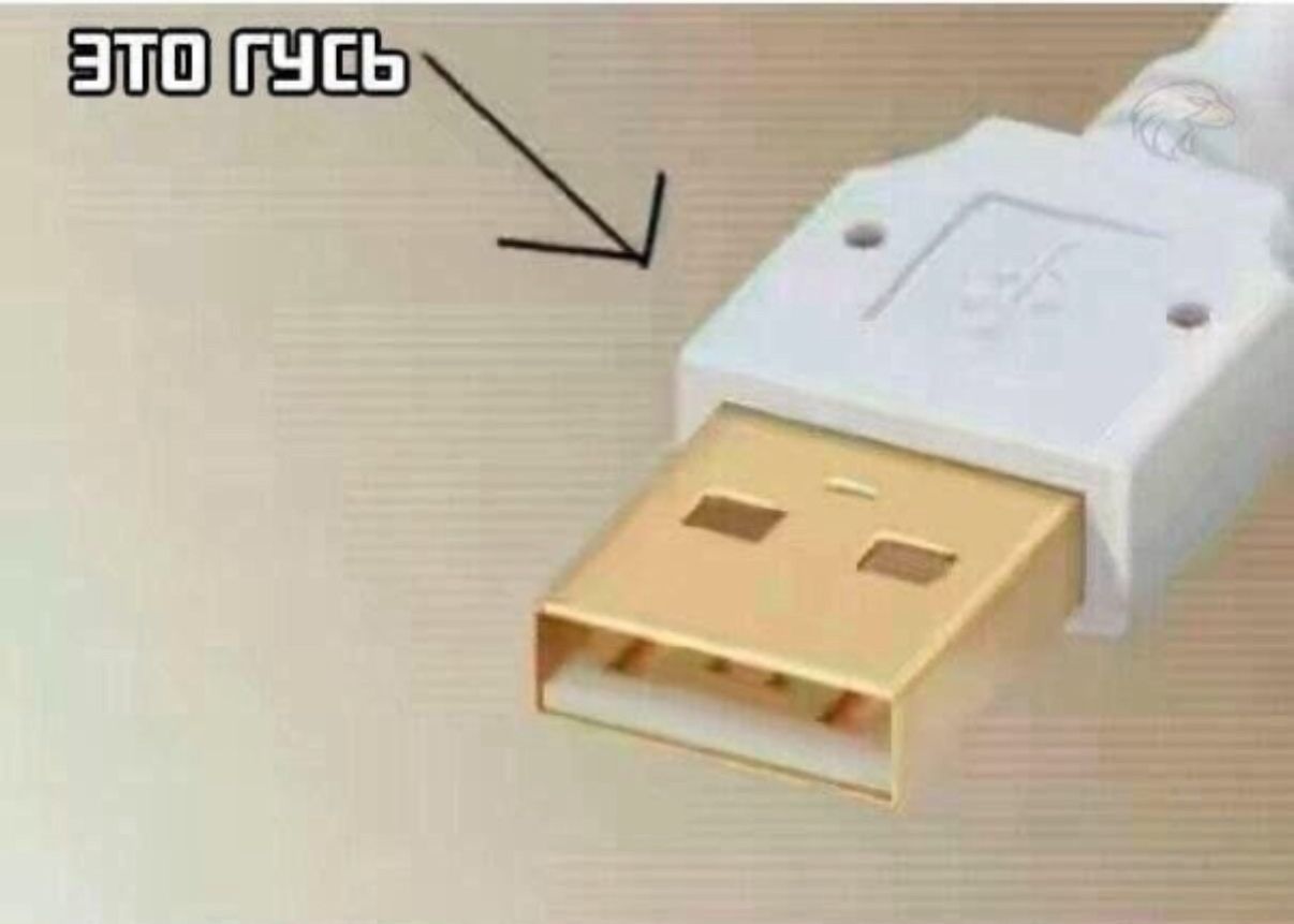 ЭТО ГУСЬ