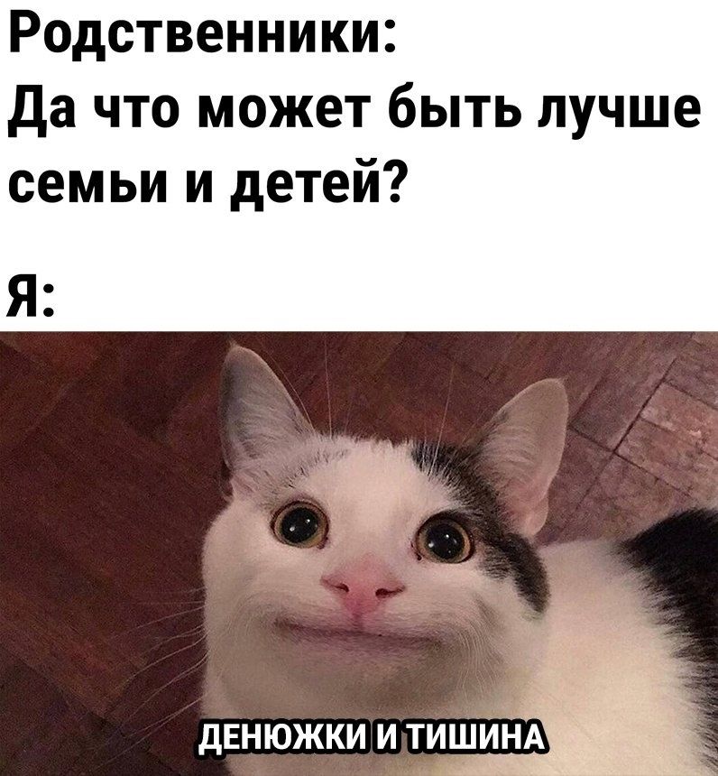 Родственники: Да что может быть лучше семьи и детей? Я: ДЕНЮЖКИ И ТИШИНА