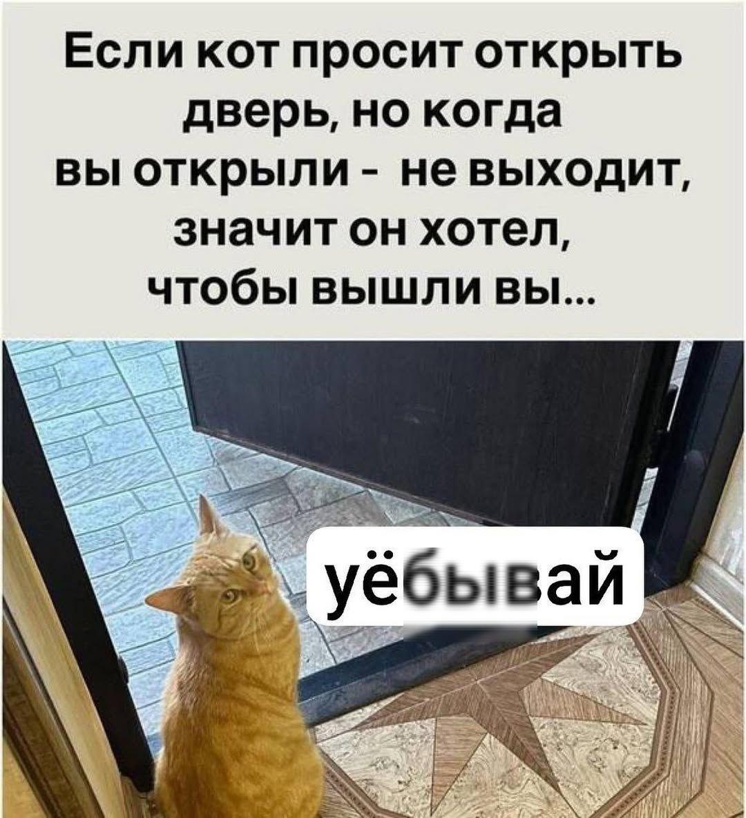 Если кот просит открыть дверь, но когда вы открыли - не выходит, значит он хотел, чтобы вышли вы...