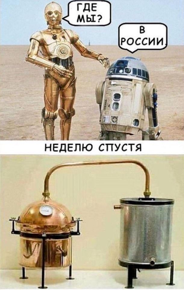ГДЕ МЫ? В РОССИИ
НЕДЕЛЮ СПУСТЯ