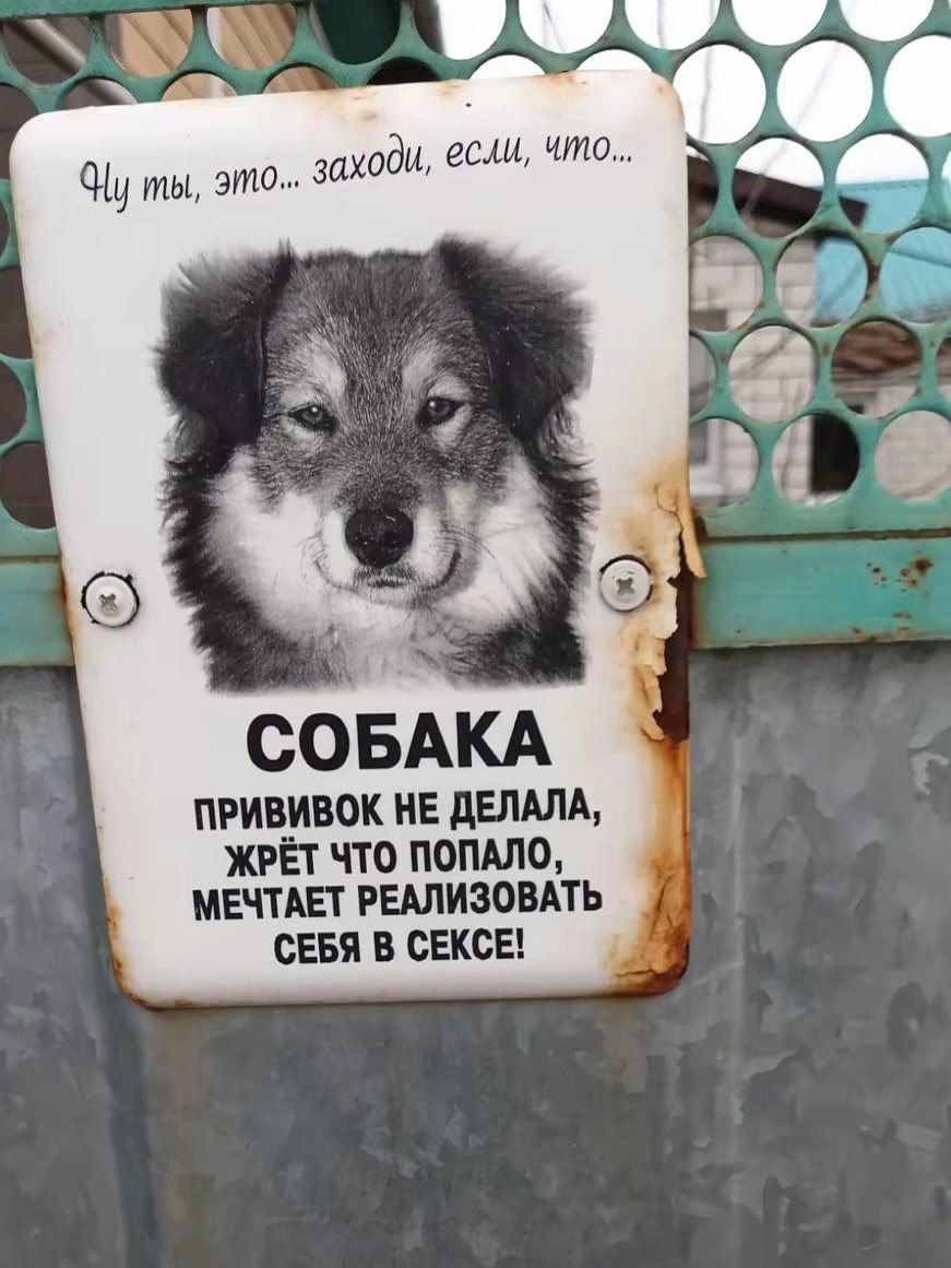 СОБАКА
ПРИВИVOK НЕ ДЕЛАЛА,
ЖРЕТ ЧТО ПОПАЛО,
МЕЧТАЕТ РЕАЛИЗОВАТЬ СЕБЯ В СЕКСЕ!