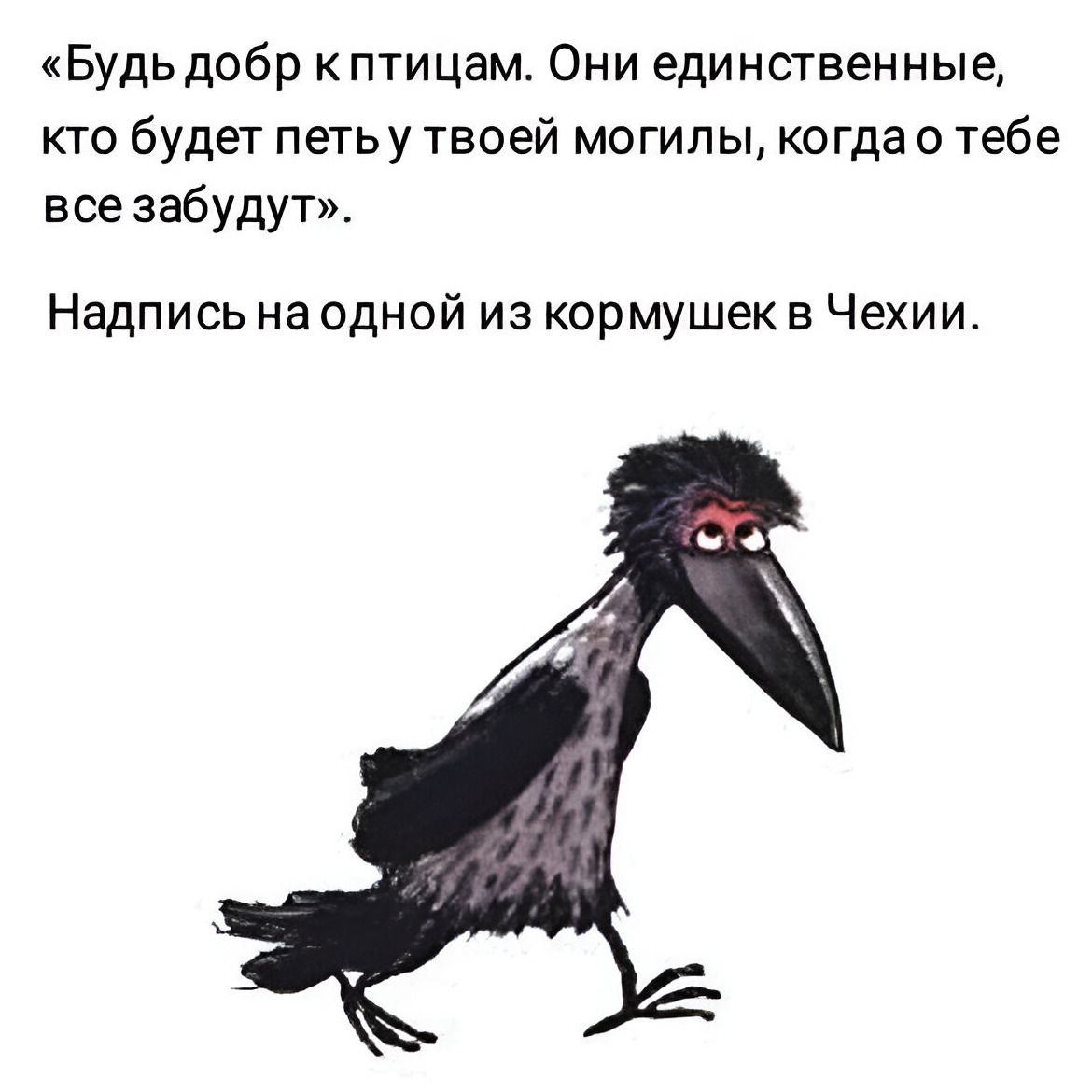 «Будь добр к птицам. Они единственные, кто будет петь у твоей могилы, когда о тебе все забудут». Надпись на одной из кормушек в Чехии.