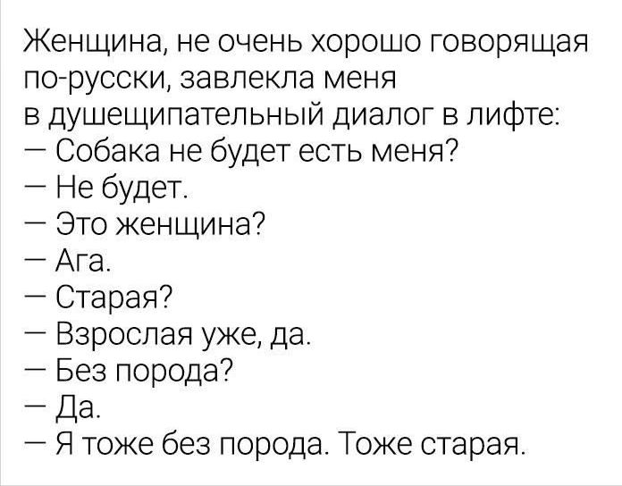 Женщина, не очень хорошо говорящая по-русски, завлекла меня в душещипательный диалог в лифте:
— Собака не будет есть меня?
— Не будет.
— Это женщина?
— Ага.
— Старая?
— Взрослая уже, да.
— Без породы?
— Да.
— Я тоже без породы. Тоже старая.