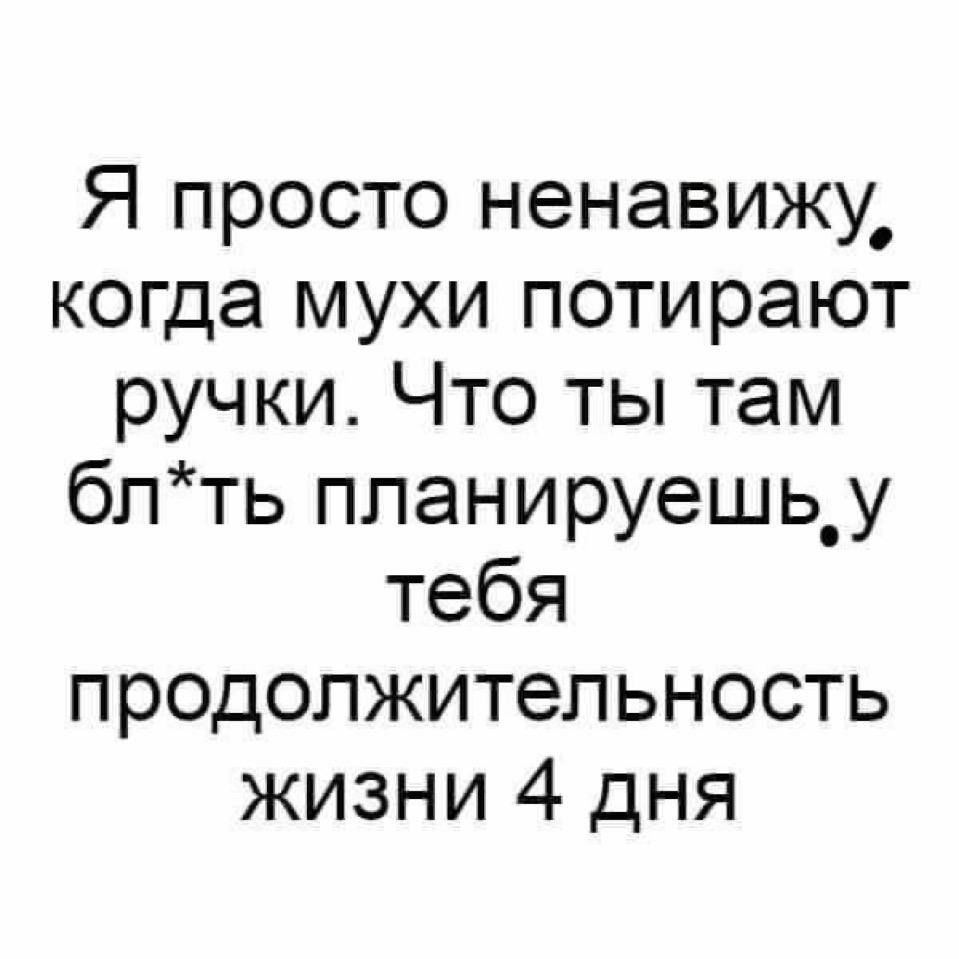 Я просто ненавижу, когда мухи потирают ручки. Что ты там бл*ть планируешь, у тебя продолжительность жизни 4 дня