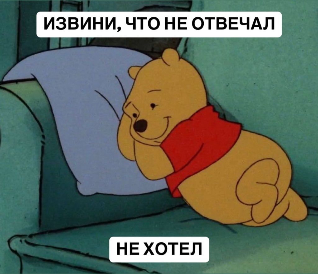 ИЗВИНИ, ЧТО НЕ ОТВЕЧАЛ
НЕ ХОТЕЛ