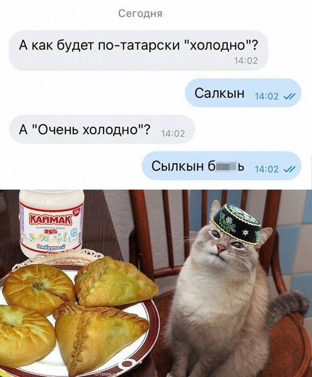 А как будет по-таатарски 'холодно'?
Салкын
А 'Очень холодно'?
Сылкын б***в
каймак