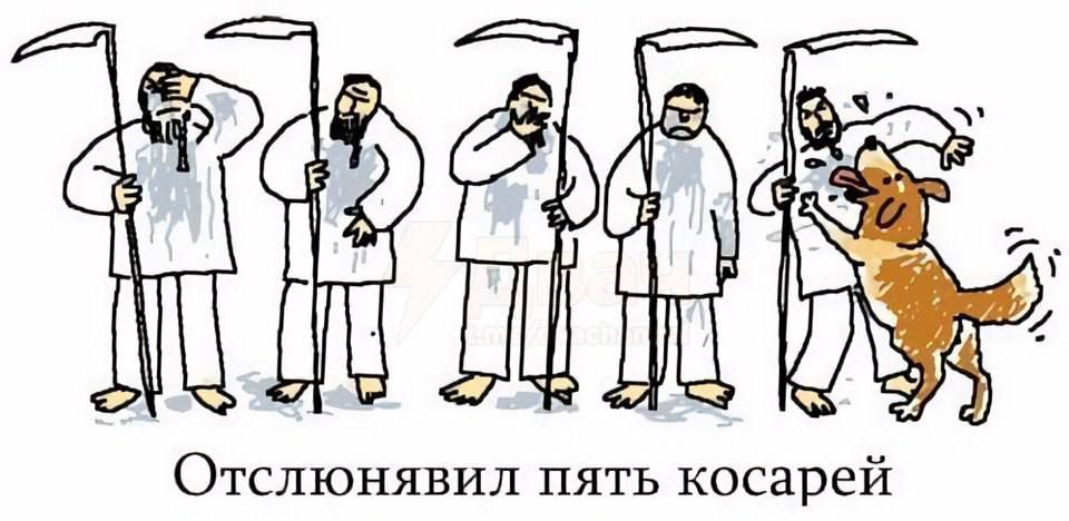 Отслюнявил пять косарей