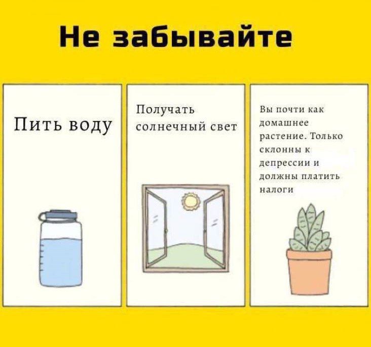 Не забывайте\nПить воду\nПолучать солнечный свет\nВы почти как домашнее растение. Только склонны к депрессии и должны платить налоги