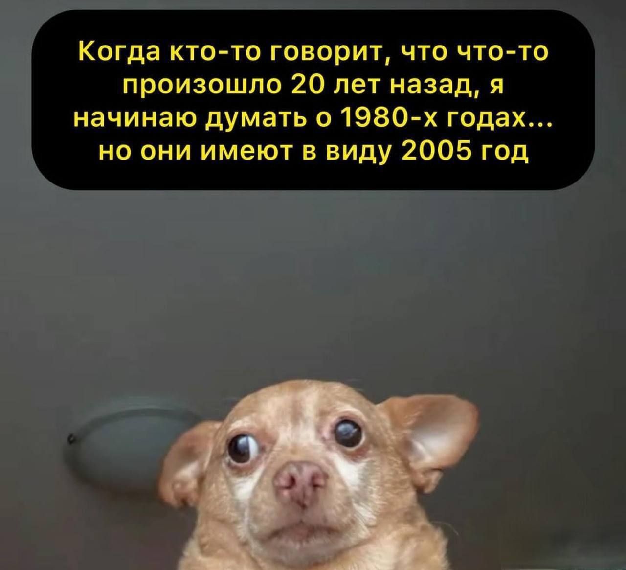Когда кто-то говорит, что что-то произошло 20 лет назад, я начинаю думать о 1980-х годах... но они имеют в виду 2005 год