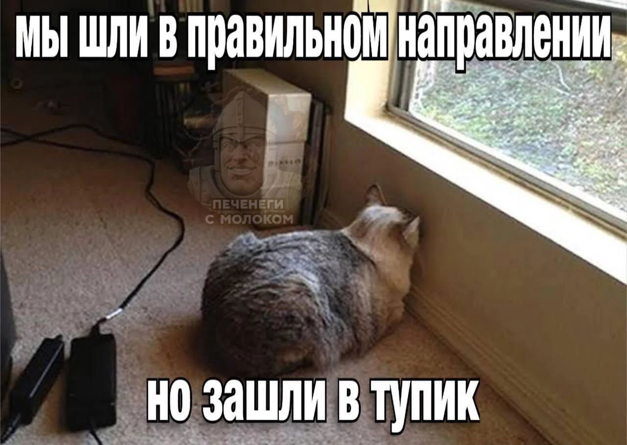 МЫ ШЛИ В ПРАВИЛЬНОМ НАПРАВЛЕНИИ
НО ЗАШЛИ В ТУПИК