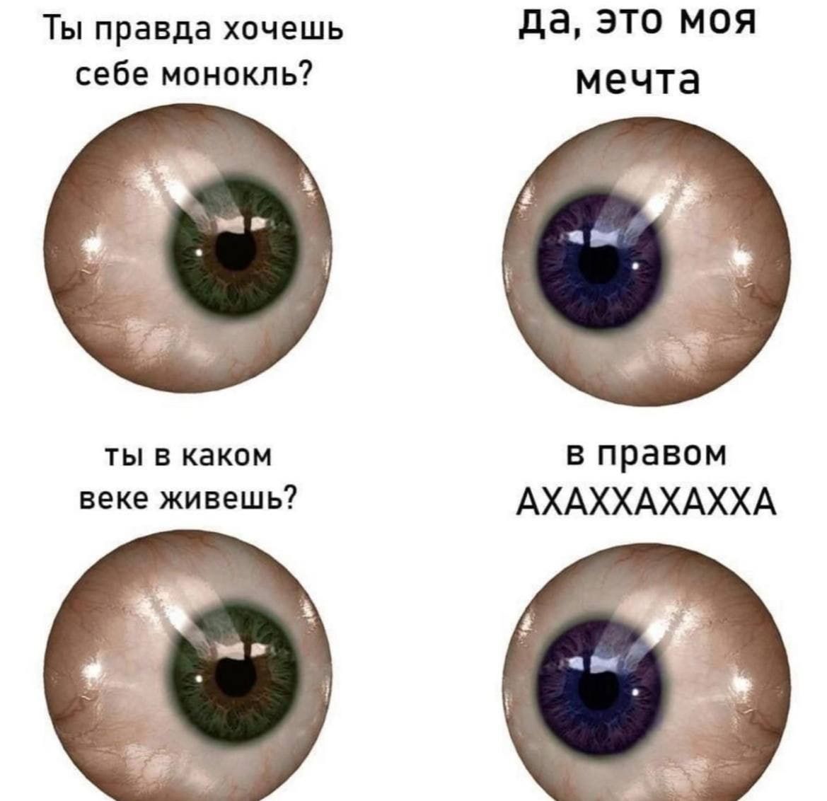 Ты правда хочешь себе монокль? да, это моя мечта ты в каком веке живешь? в правом АХАХХАХХА