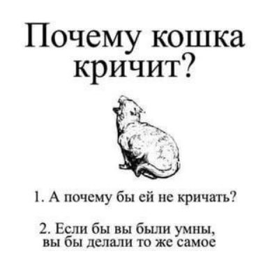 Почему кошка кричит?\n1. А почему бы ей не кричать?\n2. Если бы вы были умны, вы бы делали то же самое