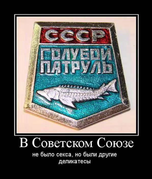 СССР
Голубой патруль
В Советском Союзе не было секса, но были другие деликатесы