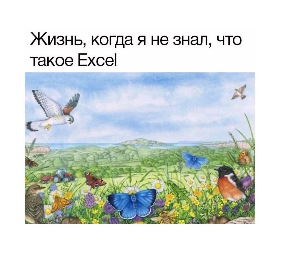 Жизнь, когда я не знал, что такое Excel