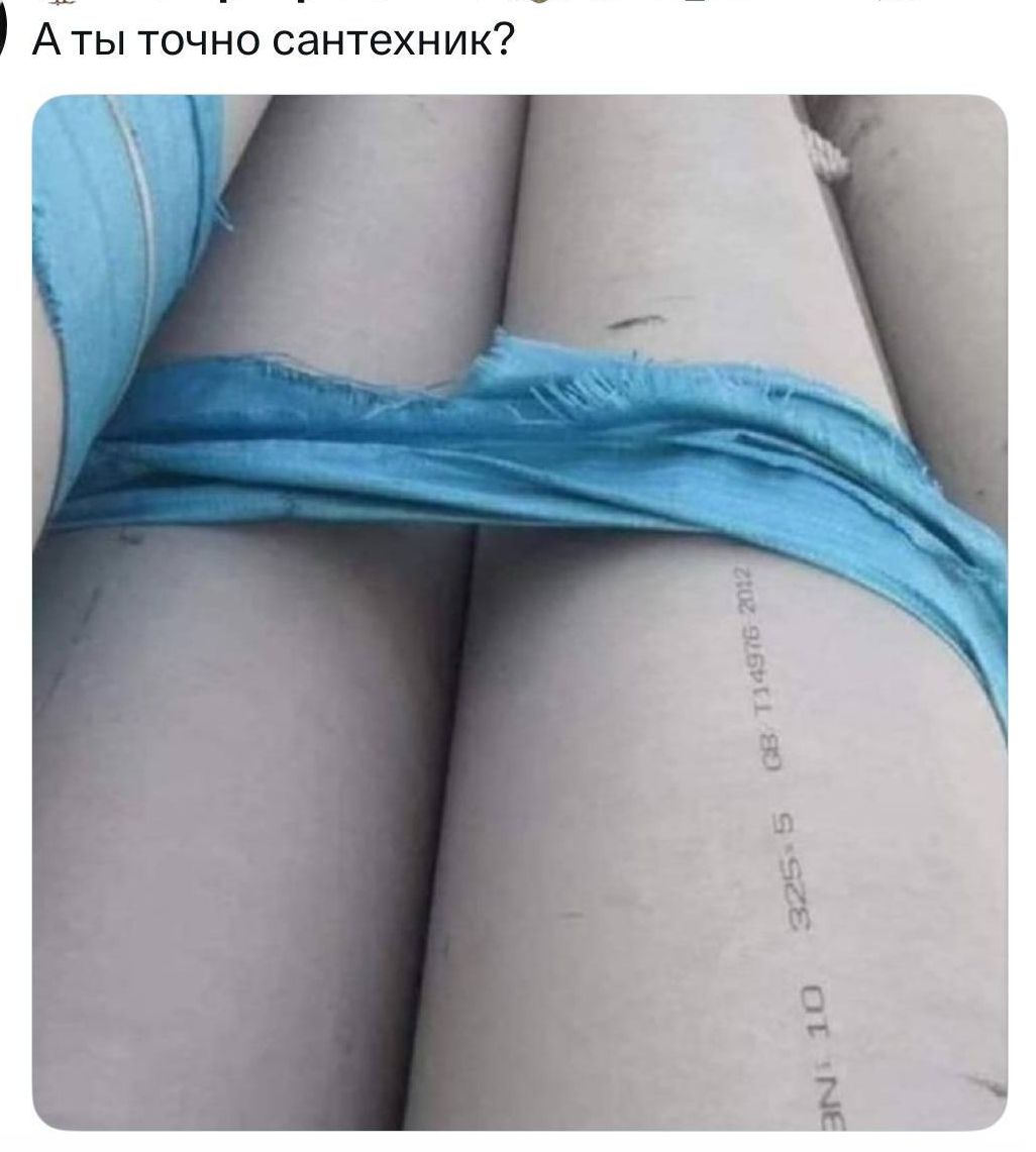 А ты точно сантехник?