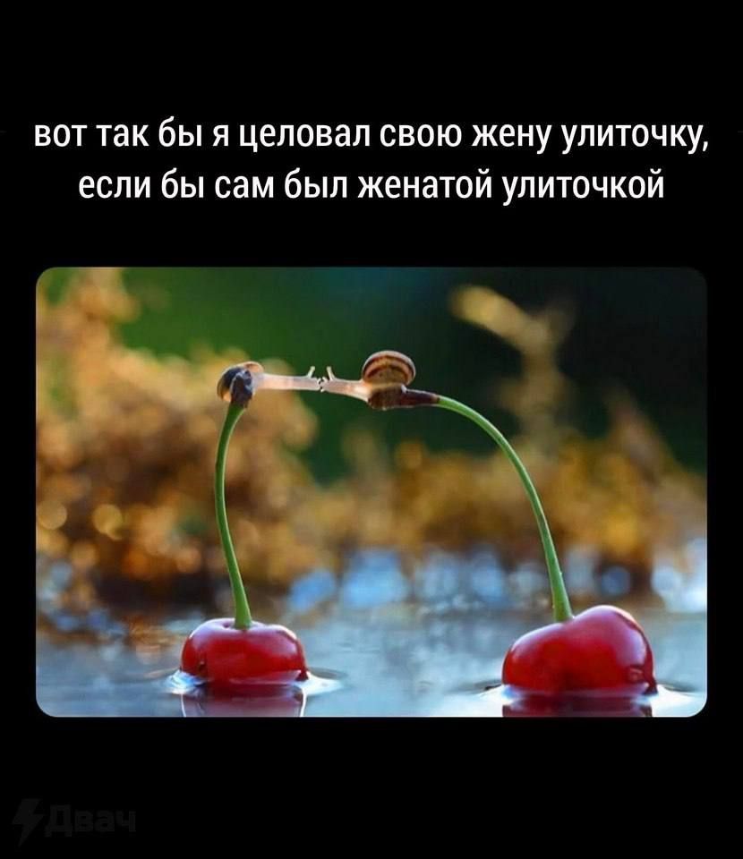 вот так бы я целовал свою жену улиточку, если бы сам был женатой улиточкой