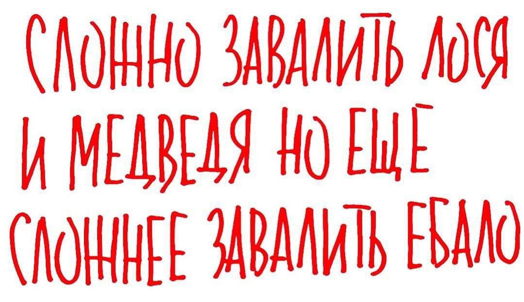 Сложно завалить лося и медведя, но еще сложнее завалить ебало