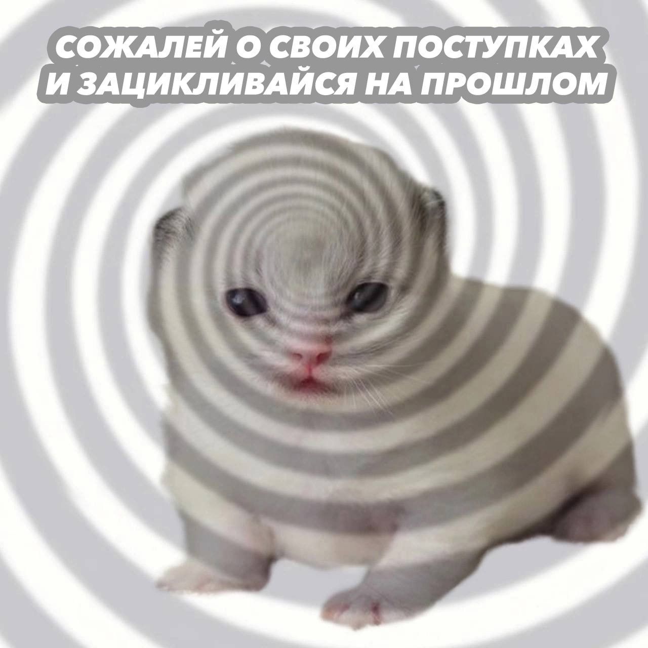 Сожалей о своих поступках и зацикливайся на прошлом