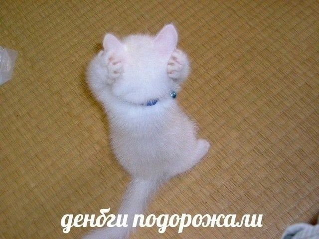 деньги подорожали