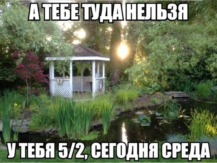 А ТЕБЕ ТУДА НЕЛЬЗЯ У ТЕБЯ 5/2, СЕГОДНЯ СРЕДА