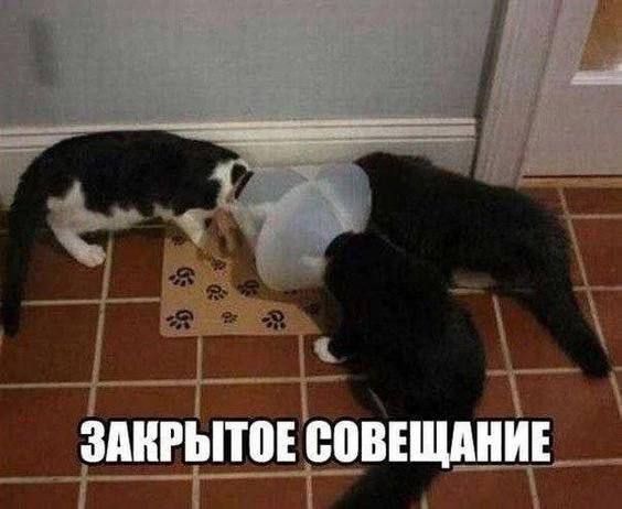 ЗАКРЫТОЕ СОВЕЩАНИЕ