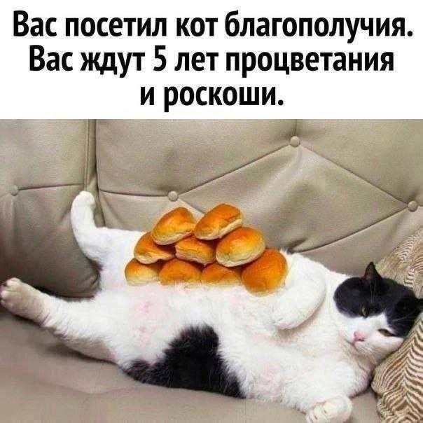 Вас посетил кот благополучия. Вас ждут 5 лет процветания и роскоши.