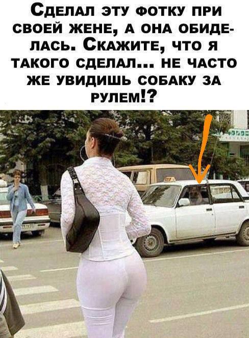 Сделал эту фотку при своей жене, а она обиделась. Скажите, что я такого сделал... не часто же увидишь собаку за рулем!?