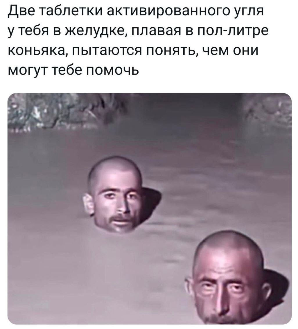 Две таблетки активированного угля у тебя в желудке, плавaя в пол-литре коньяка, пытаются понять, чем они могут тебе помочь