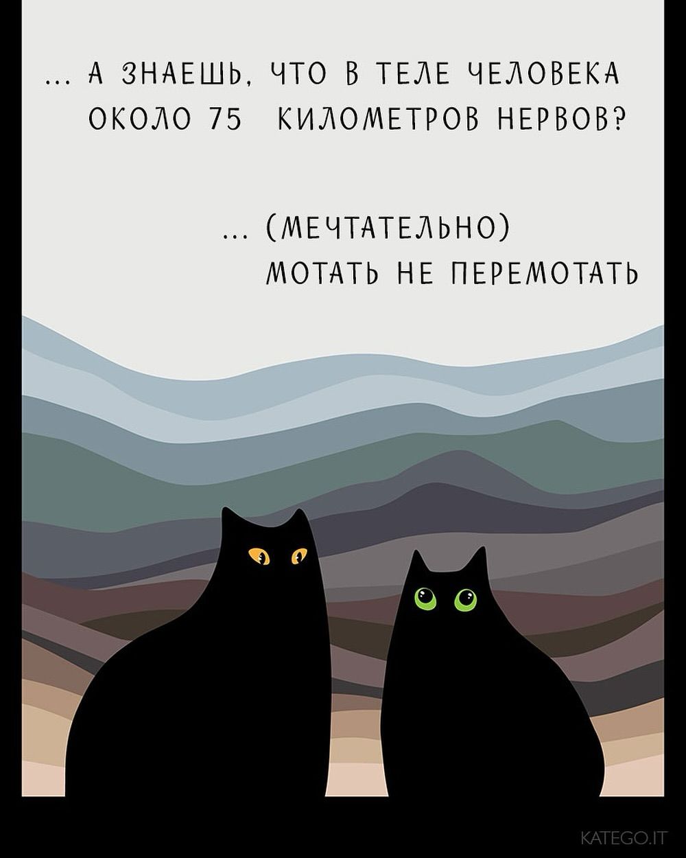 … А знаешь, что в теле человека около 75 километров нервов? … (мечтательно) Мотать не перемотать