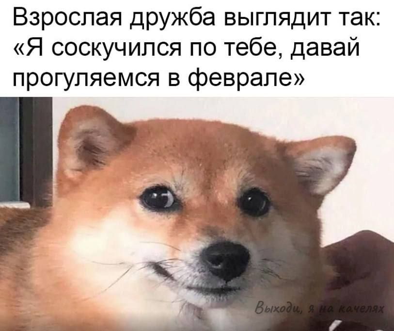 Взрослая дружба выглядит так: «Я соскучился по тебе, давай прогуляемся в феврале»