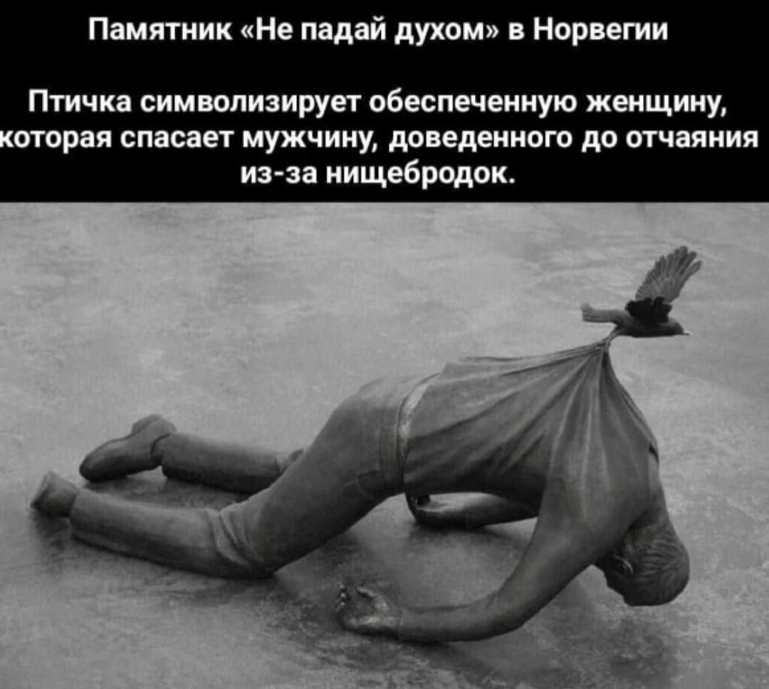 Памятник «Не падай духом» в Норвегии
Птичка символизирует обеспеченную женщину, которая спасает мужчину, доведенного до отчаяния из-за нищебродок.