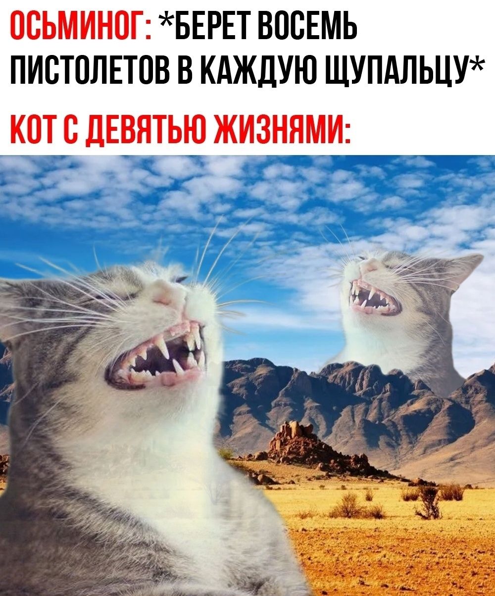 ОСЬМИНОГ: *БЕРЕТ ВОСЕМЬ ПИСТОЛЕТОВ В КАЖДУЮ ЩУПАЛЬЦУ* КОТ С ДЕВЯТЬЮ ЖИЗНЯМИ: