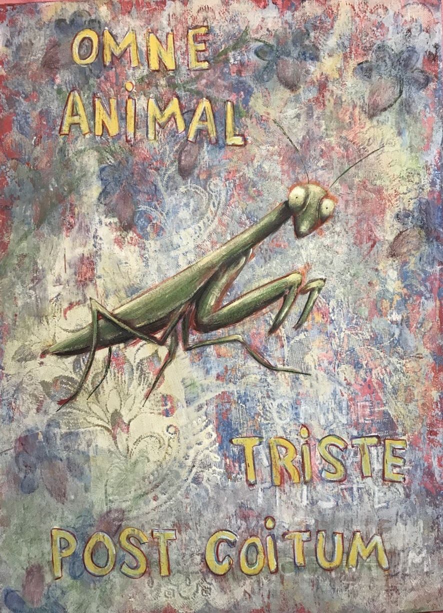 OMNE ANIMAL TRISTE POST COITUM