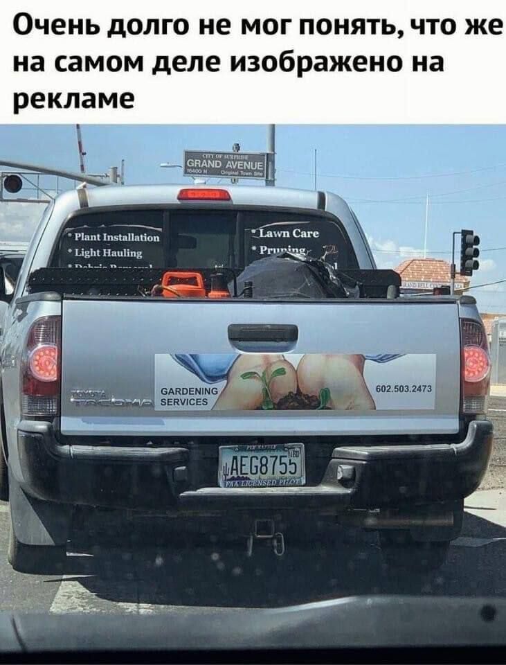 Очень долго не мог понять, что же на самом деле изображено на рекламе
Plant Installation
Light Hauling
Lawn Care
Pruning
GARDENING SERVICES