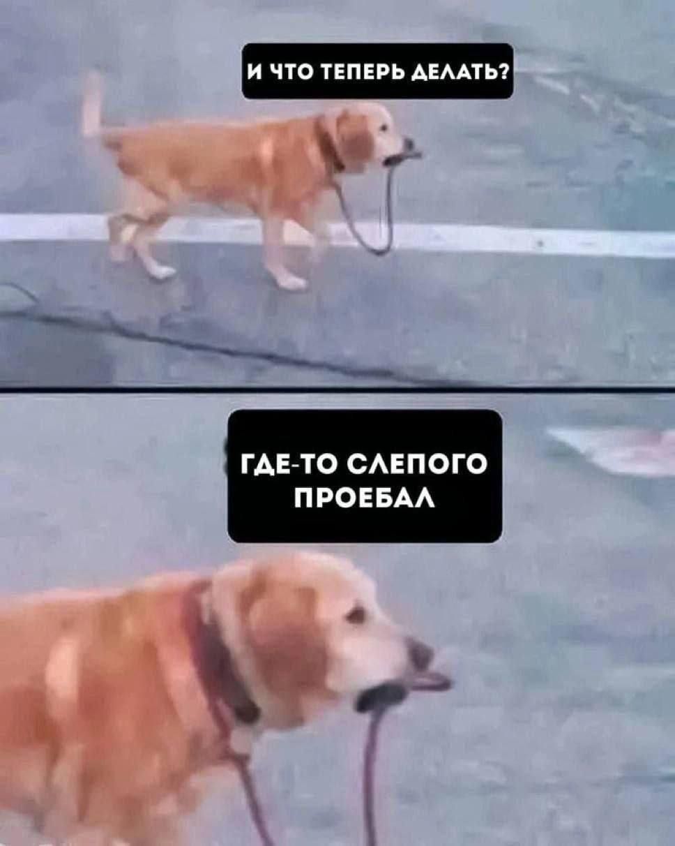 И ЧТО ТЕПЕРЬ ДЕЛАТЬ?\nГДЕ-ТО СЛЕПОГО ПРОЕБАЛ