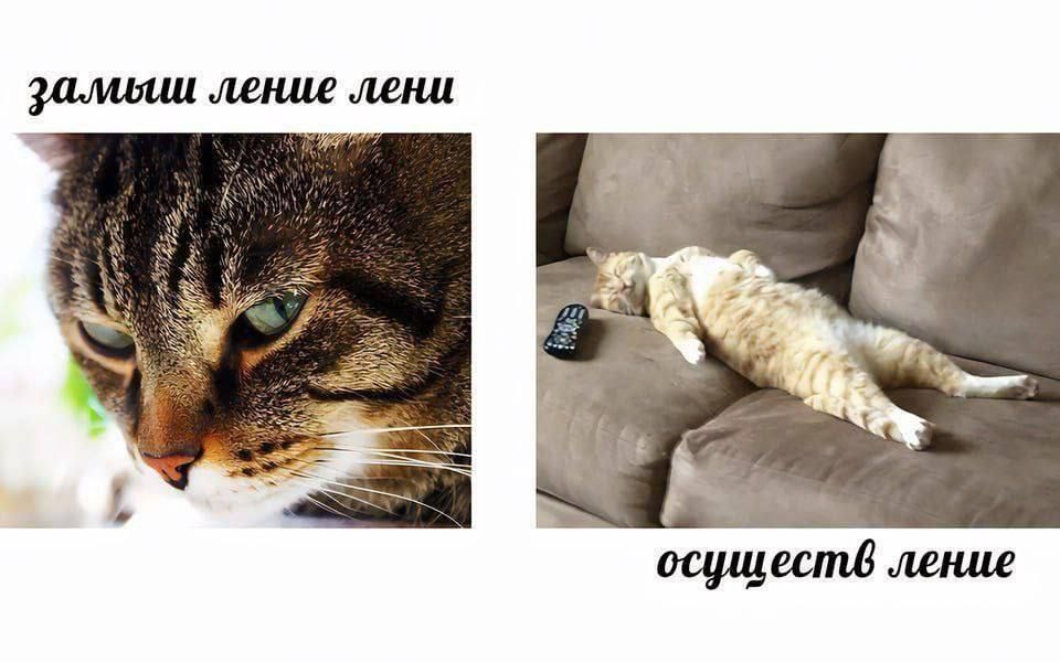 замышление лени осуществление лени