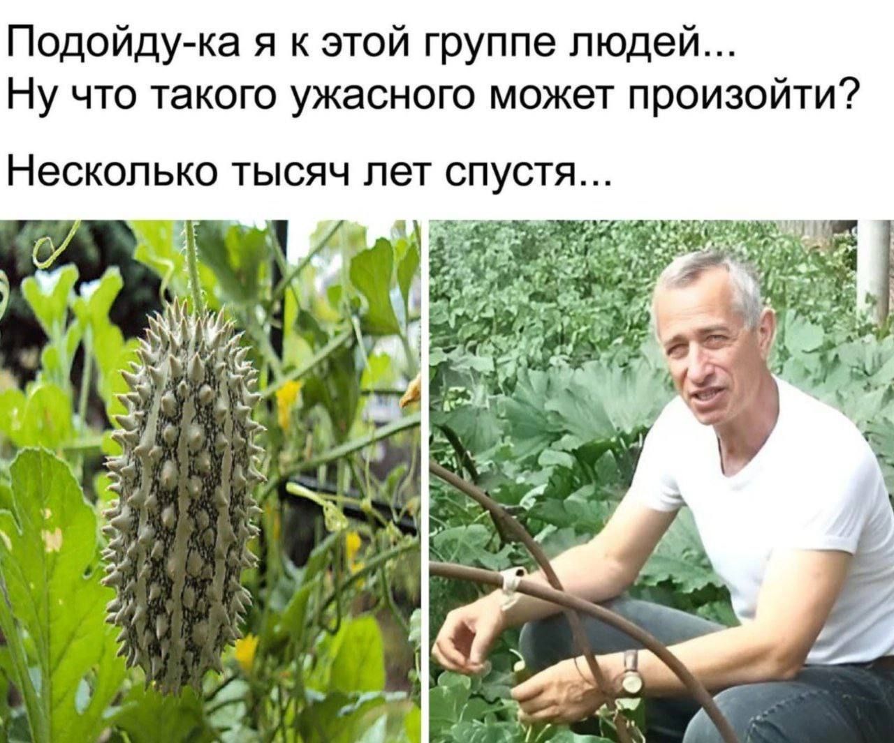 Подойду-ка я к этой группе людей... Ну что такого ужасного может произойти? Несколько тысяч лет спустя...