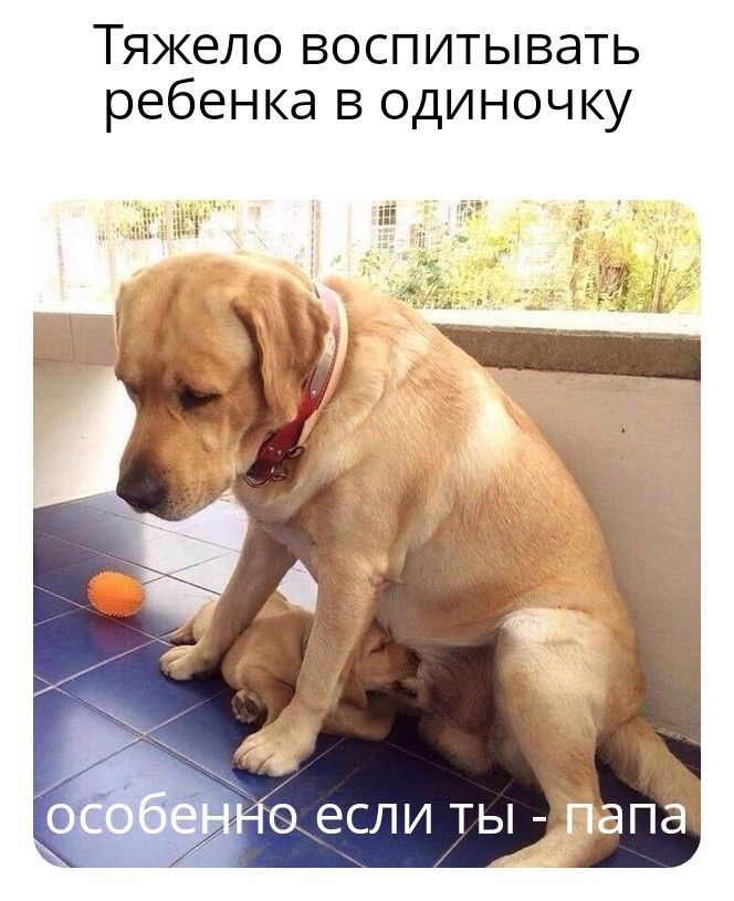 Тяжело воспитывать ребенка в одиночку
особенно если ты - папа