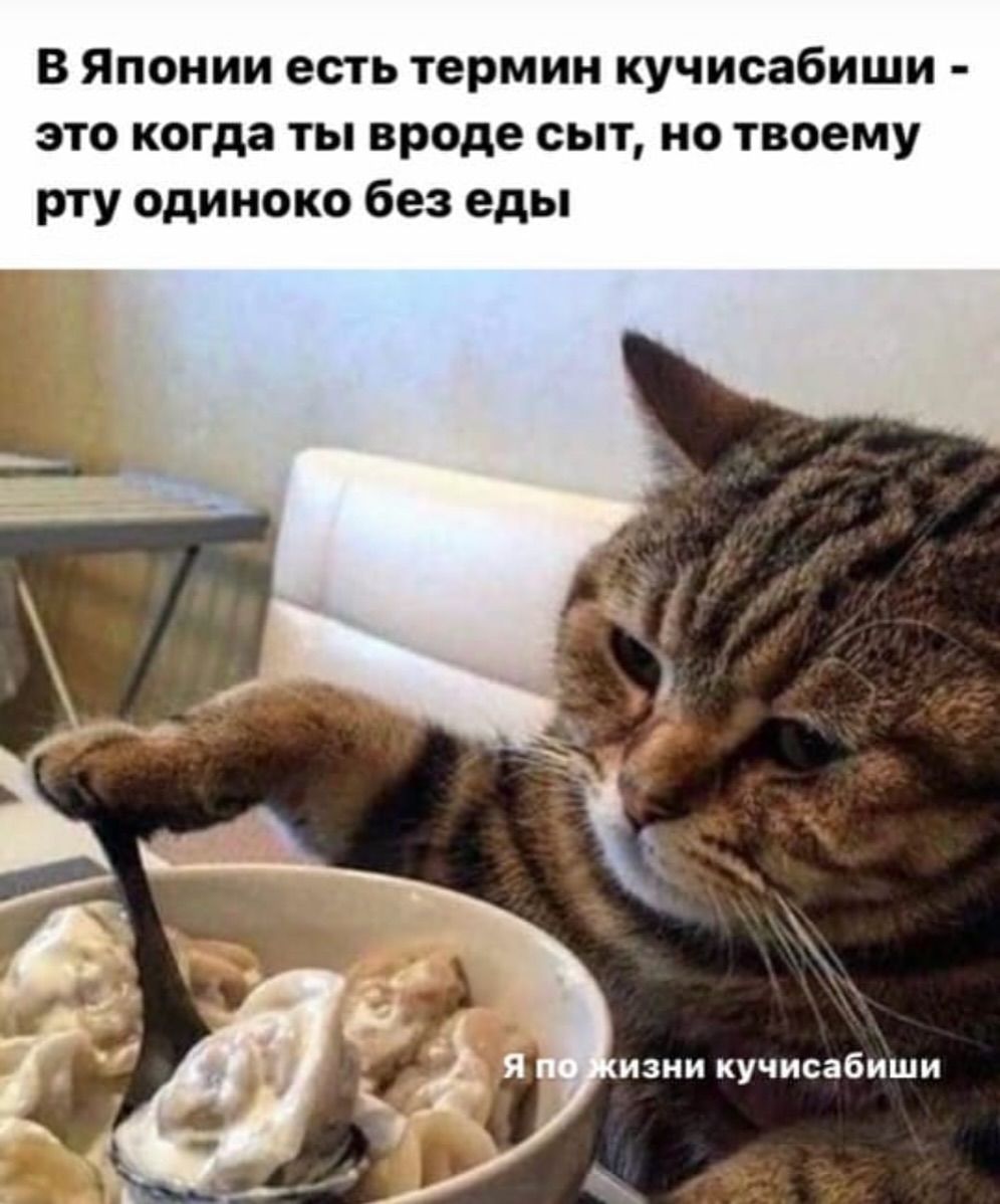 В Японии есть термин кучисабииши - это когда ты вроде сыт, но твоему рту одиноко без еды
Я по жизни кучисабииши