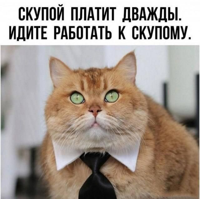 СКУПОЙ ПЛАТИТ ДВАЖДЫ. ИДИТЕ РАБОТАТЬ К СКУПОМУ.