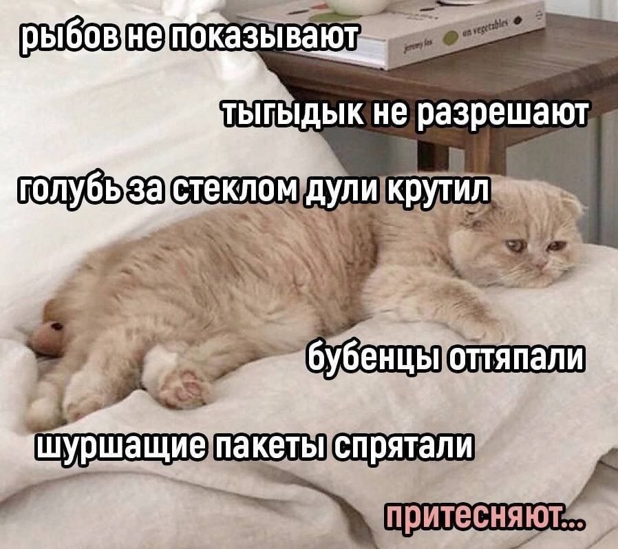 рыбов не показывают
тыгдык не разрешают
голубь за стеклом дули крутили
бубенцы оттяпали
шуршащие пакеты спрятали
притесняют..