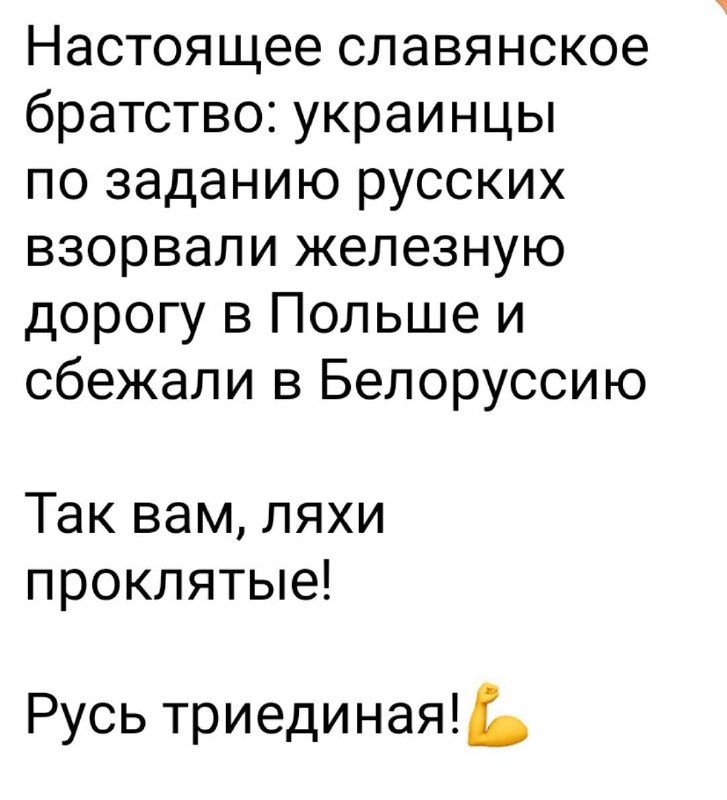 Настоящее славянское братство: украинки по заданию русских взорвали железную дорогу в Польше и сбежали в Белоруссию

Так вам, ляхи проклятые!

Русь триединая!
