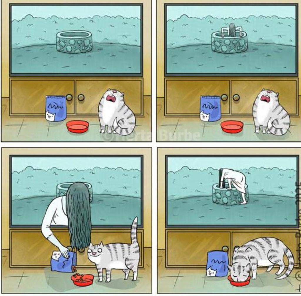 Комикс из четырех кадров: человек и кот возле миски у шкафа, коть схватил миску