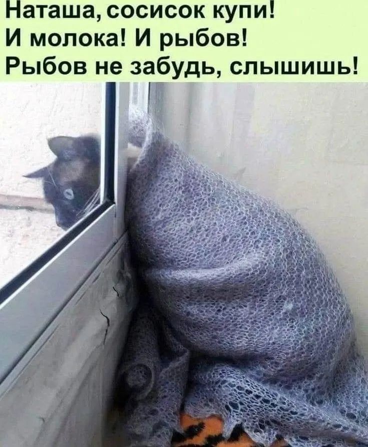 Наташа, сосисок купи! И молока! И рыбы! Рыбов не забудь, слышишь!