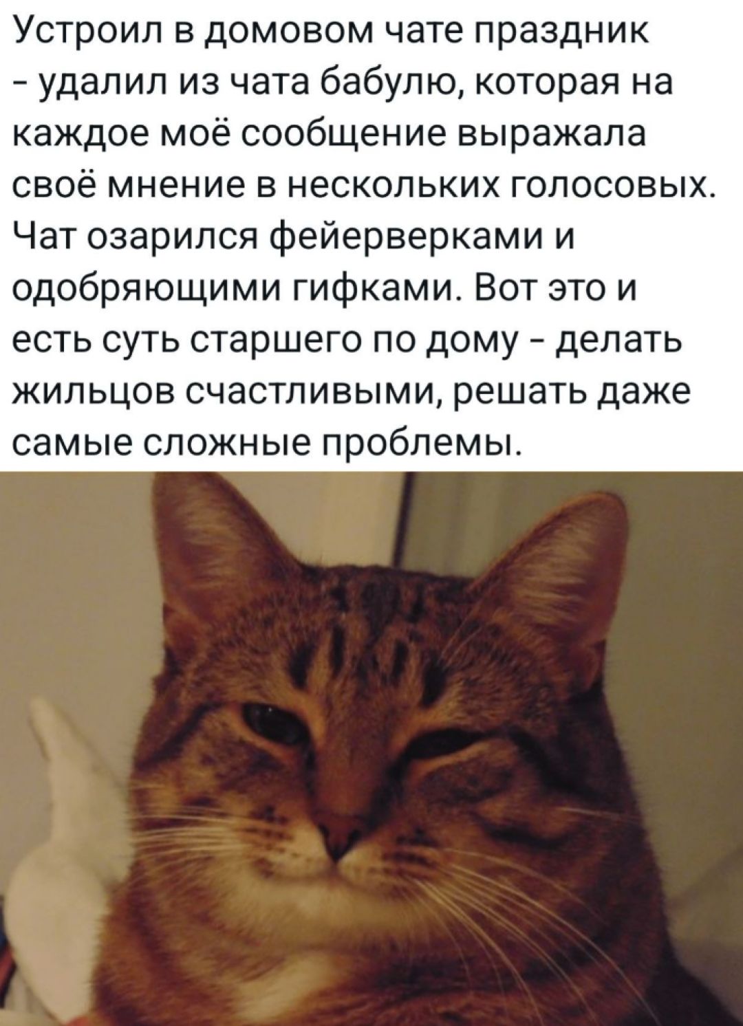 Устроил в домовом чате праздник - удалил из чата бабулью, которая на каждое моё сообщение выражала своё мнение в нескольких голосовых. Чат озарился фейерверками и одобряющими гифками. Вот это и есть суть старшего по дому - делать жильцов счастливыми, решать даже самые сложные проблемы.