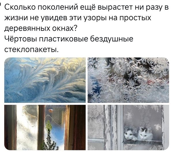 Сколько поколений ещё вырастет ни разу в жизни не увидев эти узоры на простых деревянных окнах? Чёртовы пластиковые бездушные стеклопакеты.