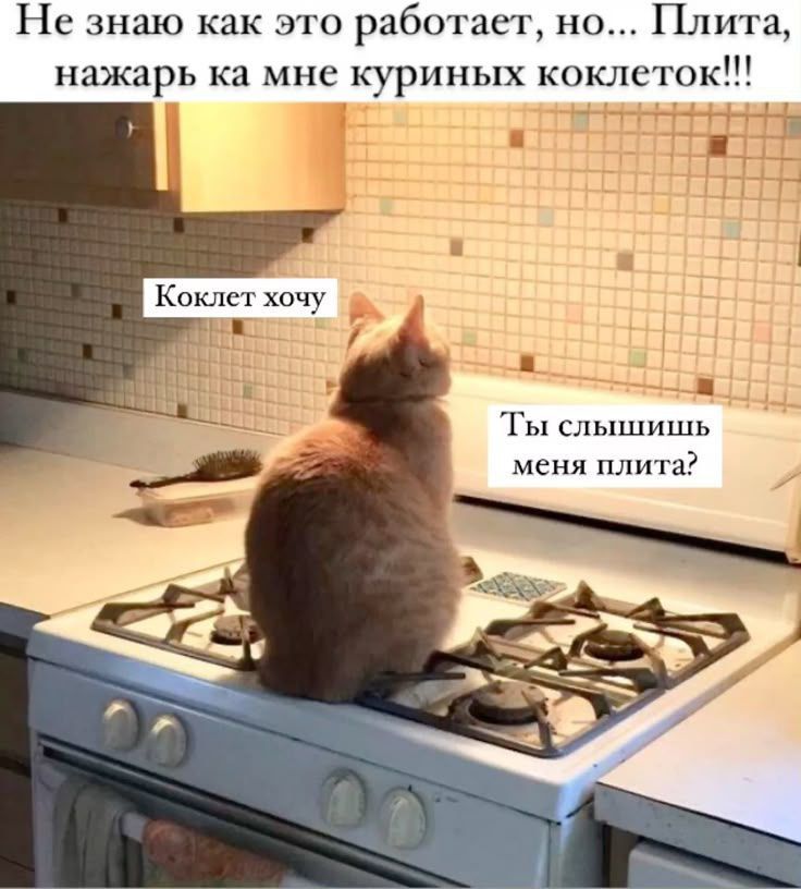 Не знаю как это работает, но... Плита, нажарь ка мне куриных коклеток!!!\nКоклет хочу\nТы слышишь меня плита?