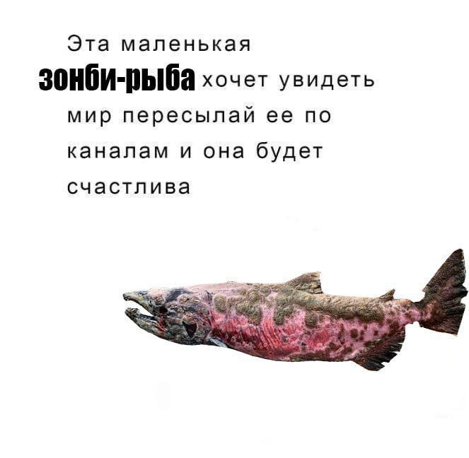 Эта маленькая зонби-рыба хочет увидеть мир пересылай ее по каналам и она будет счастлива