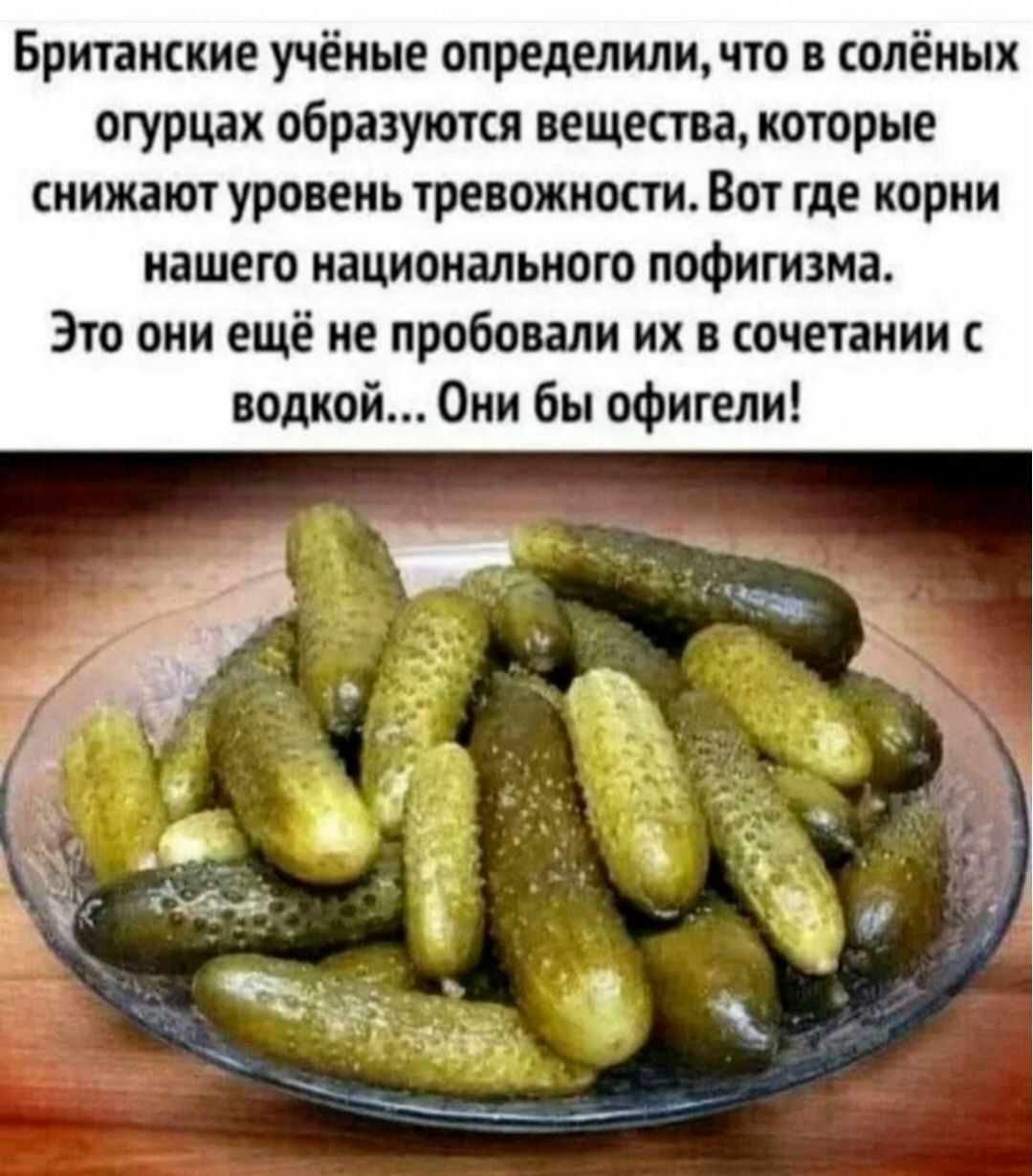 Британские учёные определили, что в солёных огурцах образуются вещества, которые снижают уровень тревожности. Вот где корни нашего национального пофигизма. Это они ещё не пробовали их в сочетании с водкой... Они бы офигели!