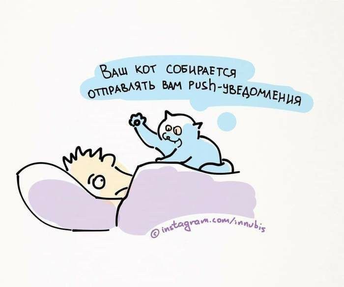 Ваш кот собирается отправлять вам push-уведомления